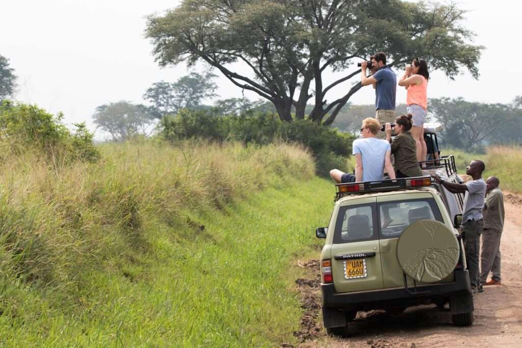 game drive in mburo National Park