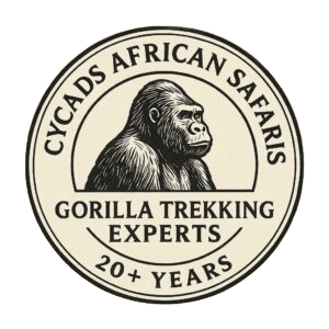 cycads african safaris