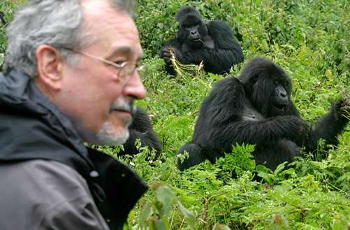 gorilla trekking