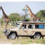 game drive