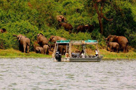 Boat Cruising