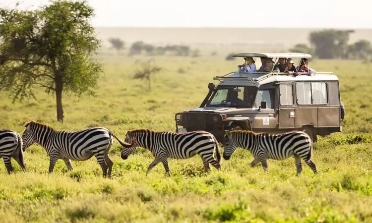 Ultimate Uganda Safari: Top Adventure Activities to Try